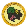 Iowa Pin IA State Emblem Hat Lapel Pins